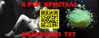 шишки Пугачёв