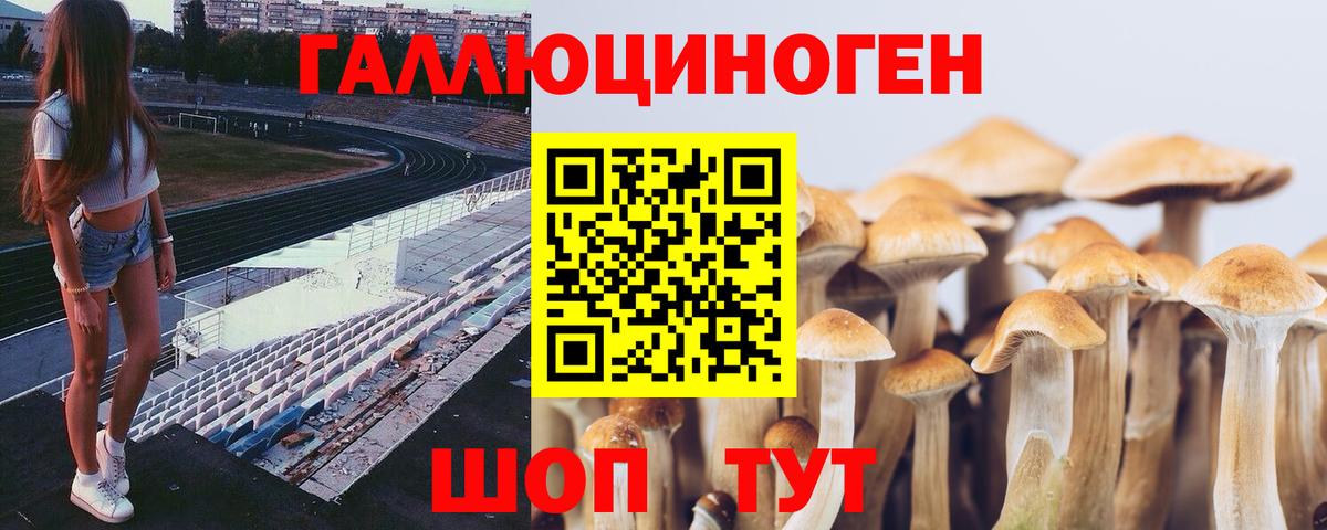 Псилоцибиновые грибы Magic Shrooms  Псилоцибиновые грибы прущие грибы  Вход с VPN  Саяногорск 